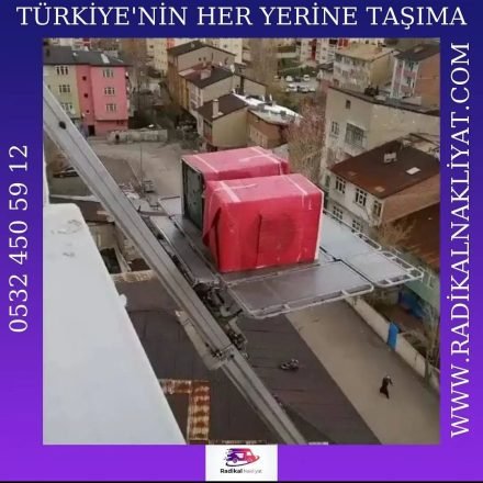 d024a47b-dd51-49d9-8703-bd63fe360594